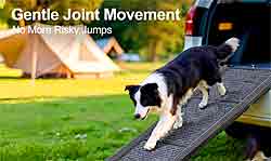 Pet ramp