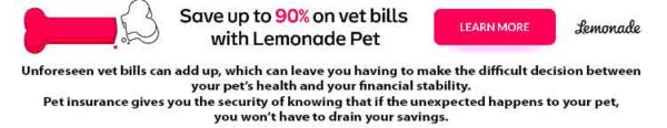 Lemonade Pet Insurance