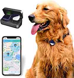 Petfon Dog Tracker