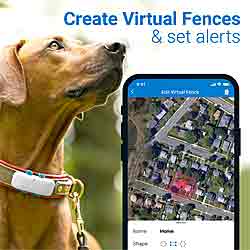 tractive dog tracking