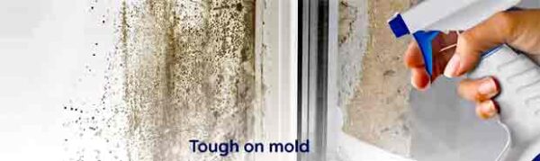 Eliminating Mold and Odors in your RV