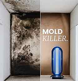 Swissklip HaloUV Mold Remover Swissker